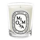 Diptyque - Mimosa - Scented Candle